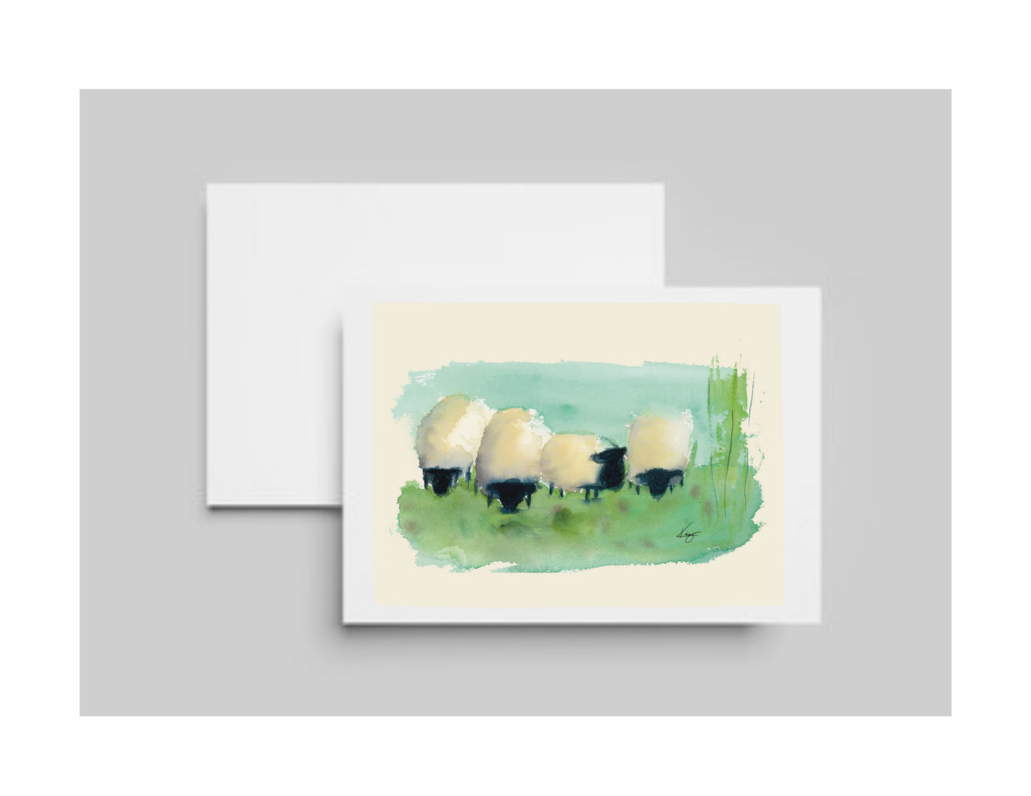 Sheep