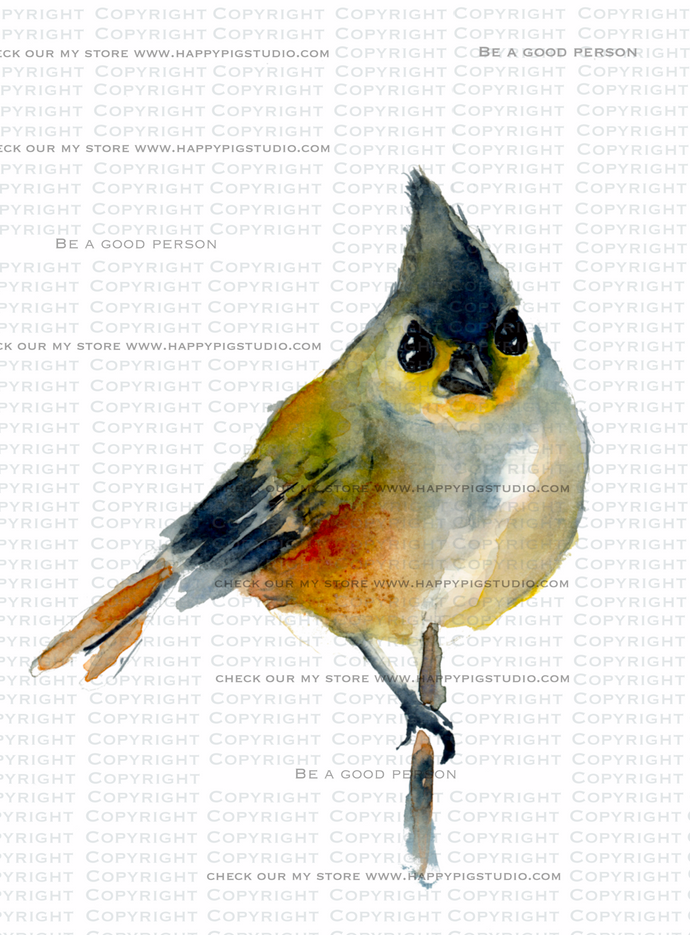 Little Bird - sweet little bird on a branch - Collectable Watercolor Print