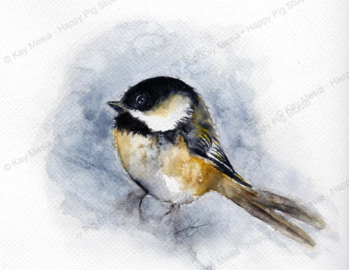 Protected Chickadee watercolor artwork by Kay Mesia; copyright watermark applied for online image protection.