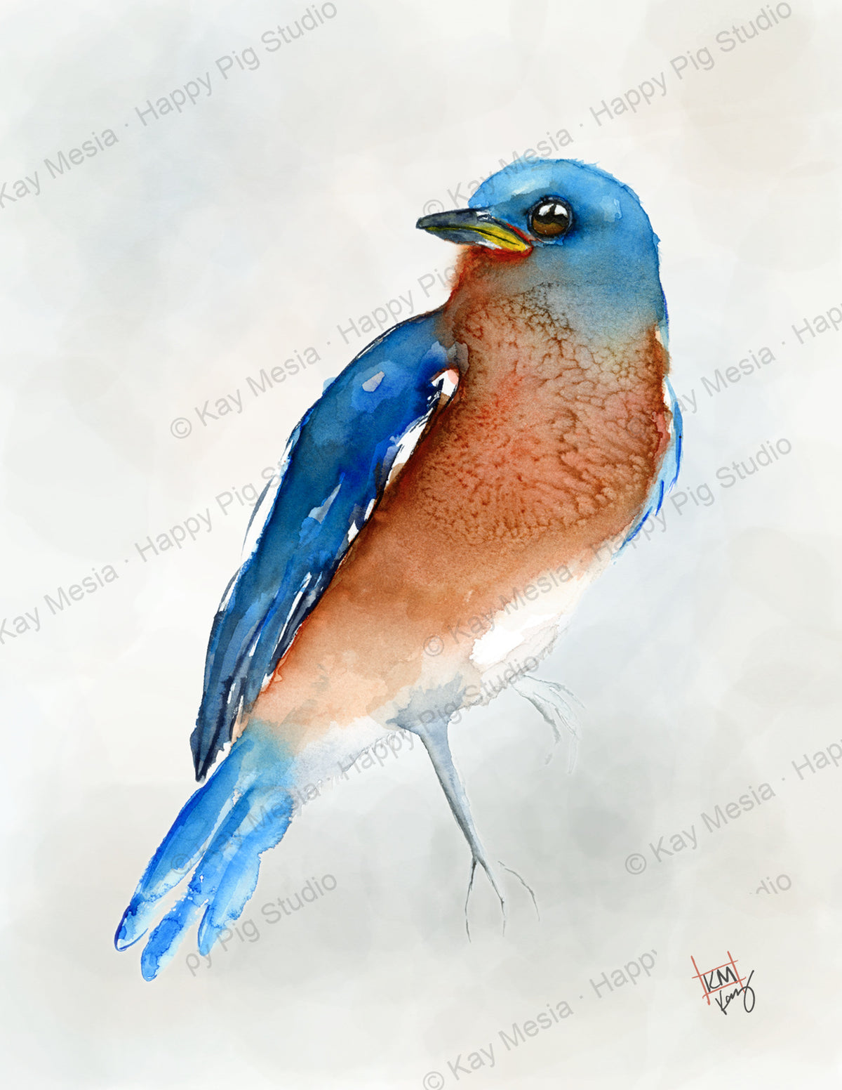 Protected Bluebird watercolor artwork by Kay Mesia; copyright watermark applied for online image protection.