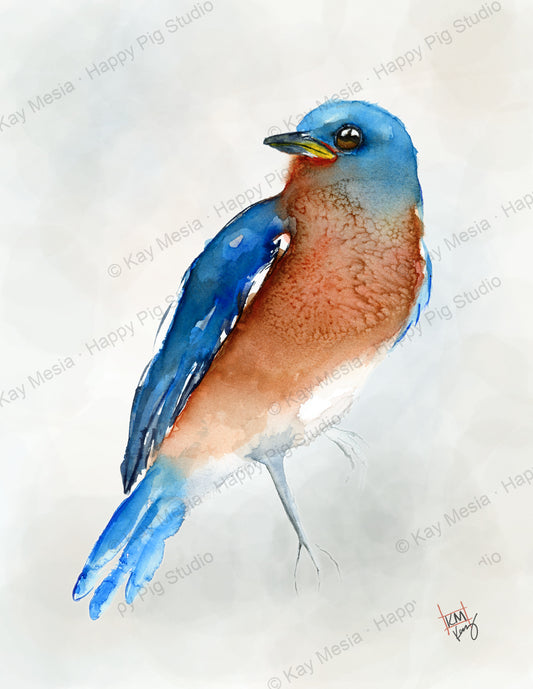 Protected Bluebird watercolor artwork by Kay Mesia; copyright watermark applied for online image protection.