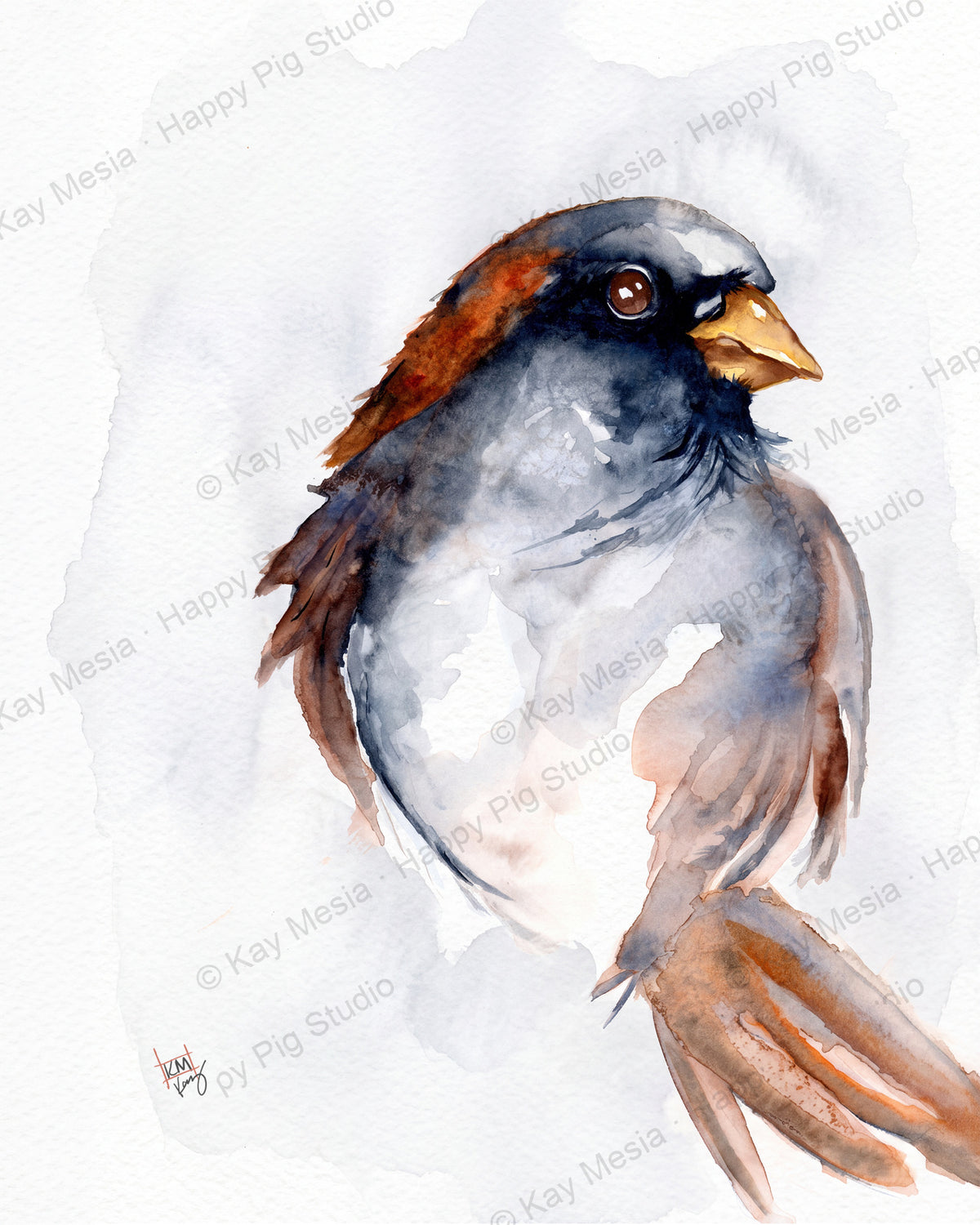 Protected House Sparrow watercolor artwork by Kay Mesia; copyright watermark applied for online image protection.