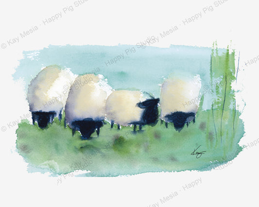 Protected Grazing Sheep watercolor artwork by Kay Mesia; copyright watermark applied for online image protection.