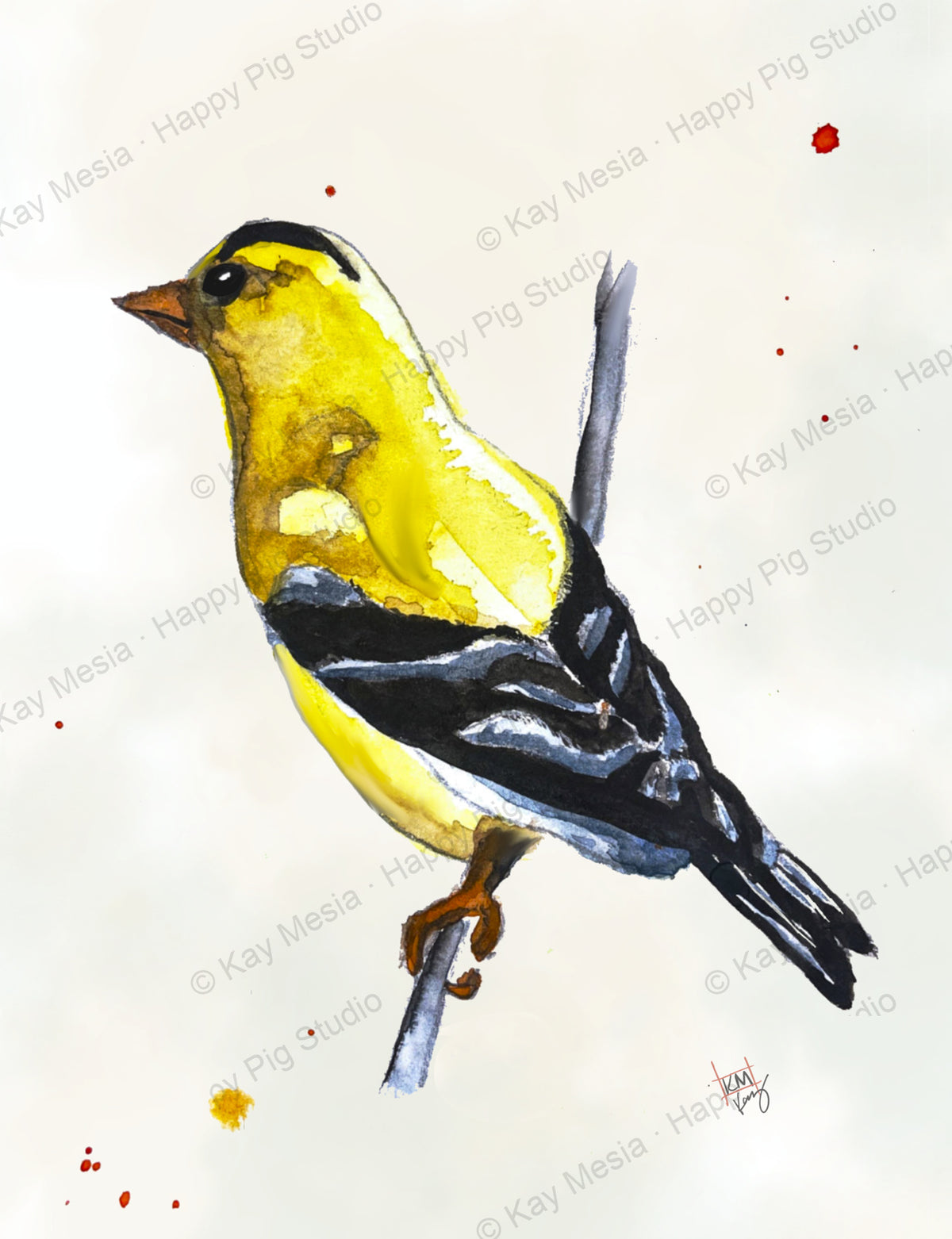 Protected Goldfinch watercolor artwork by Kay Mesia; copyright watermark applied for online image protection.