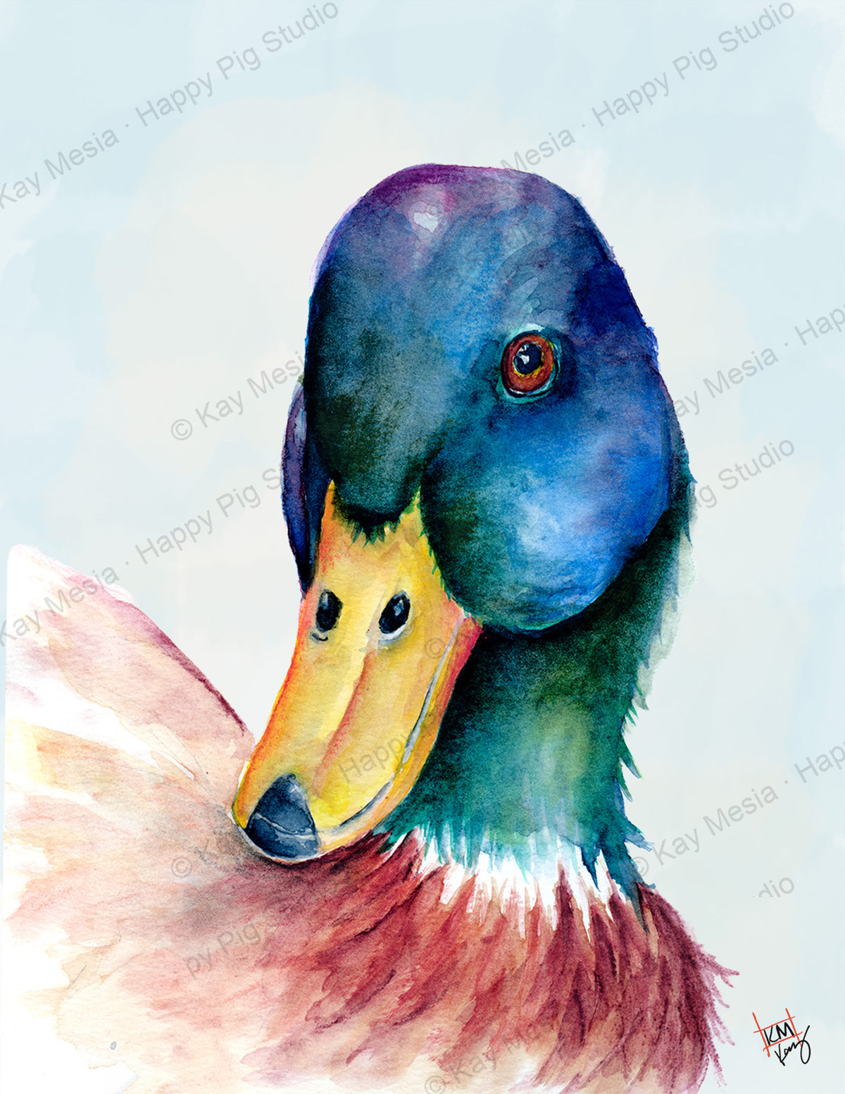 Protected Mallard watercolor artwork by Kay Mesia; copyright watermark applied for online image protection.