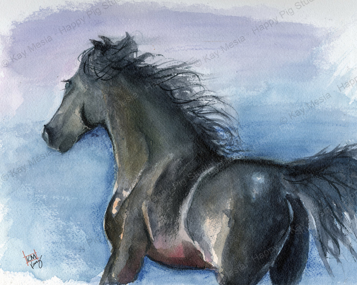 Protected Black Stallion watercolor artwork by Kay Mesia; copyright watermark applied for online image protection.
