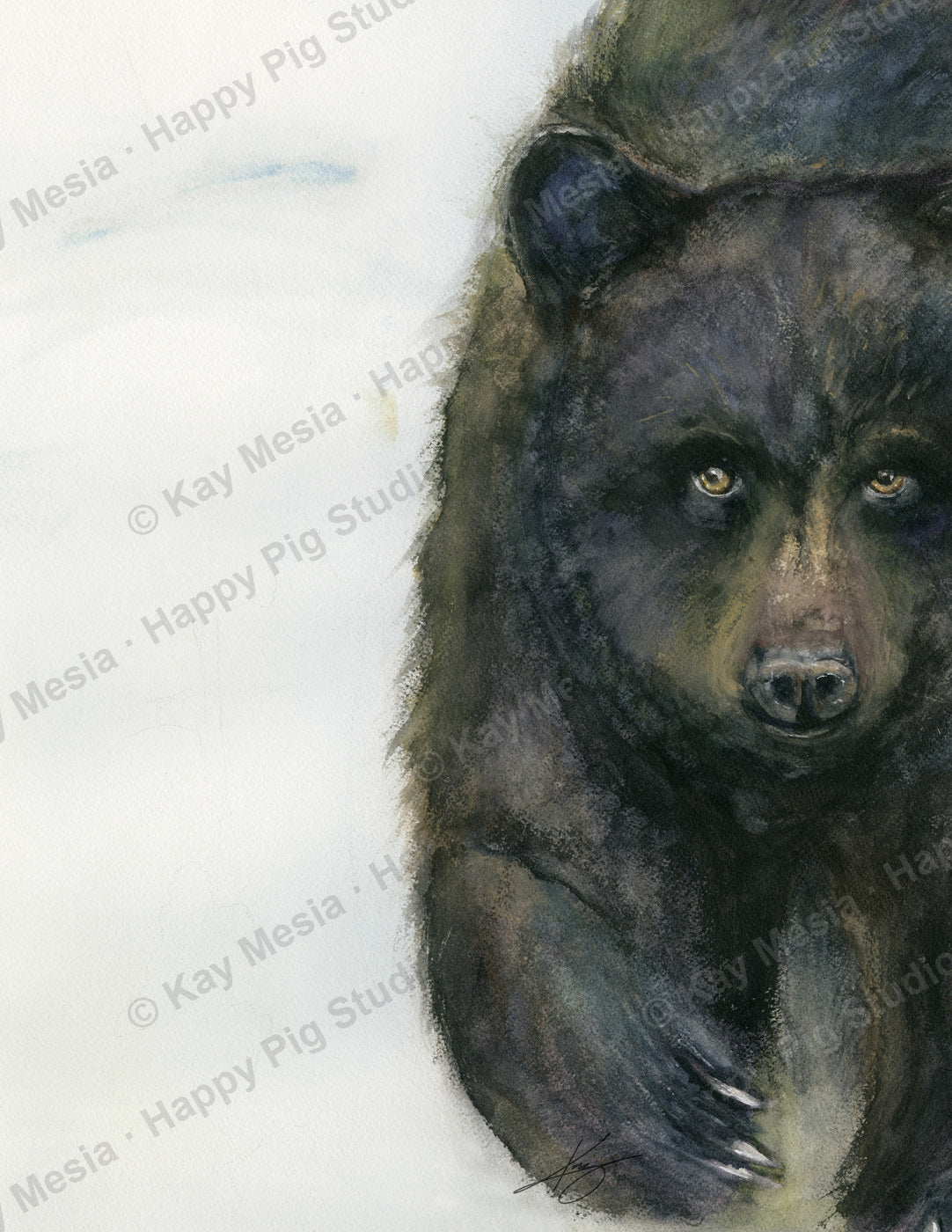 Black Bear, an original watercolor by Kay Mesia, presented as a Happy Pig Studio fine-art print.