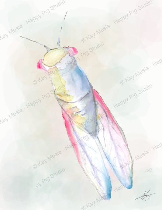 Cicada fine-art print by Kay Mesia - artwork view
