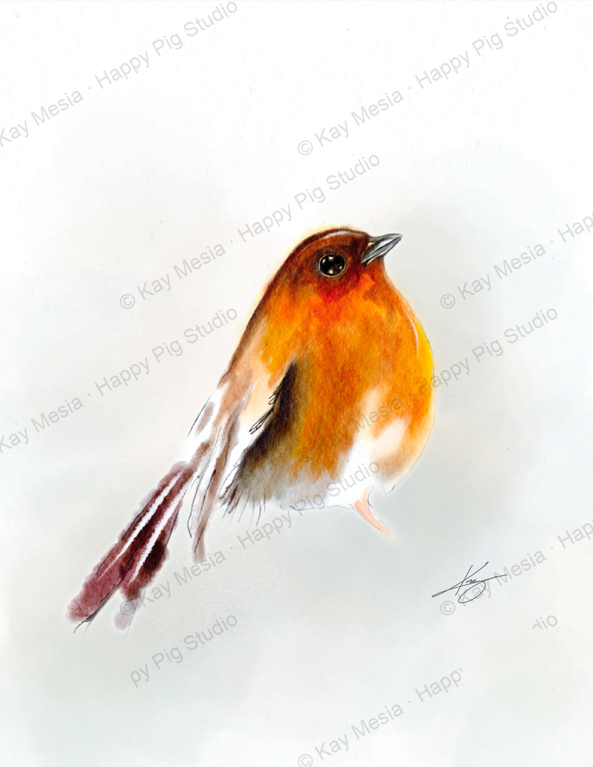 Robin fine-art print by Kay Mesia - artwork view