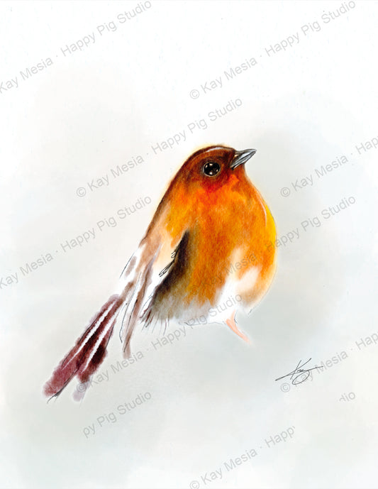 Robin fine-art print by Kay Mesia - artwork view