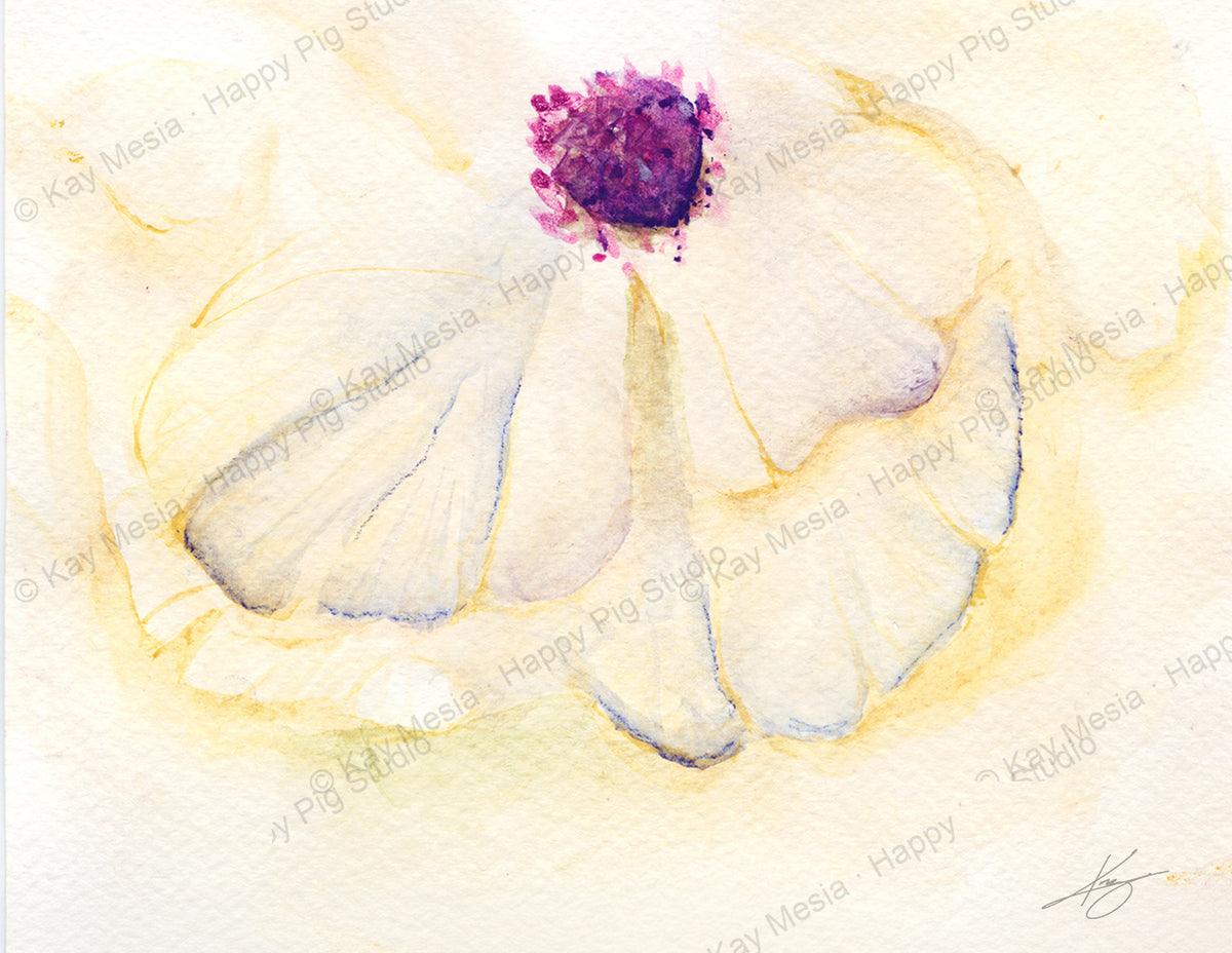 White Flower fine-art print by Kay Mesia - artwork view