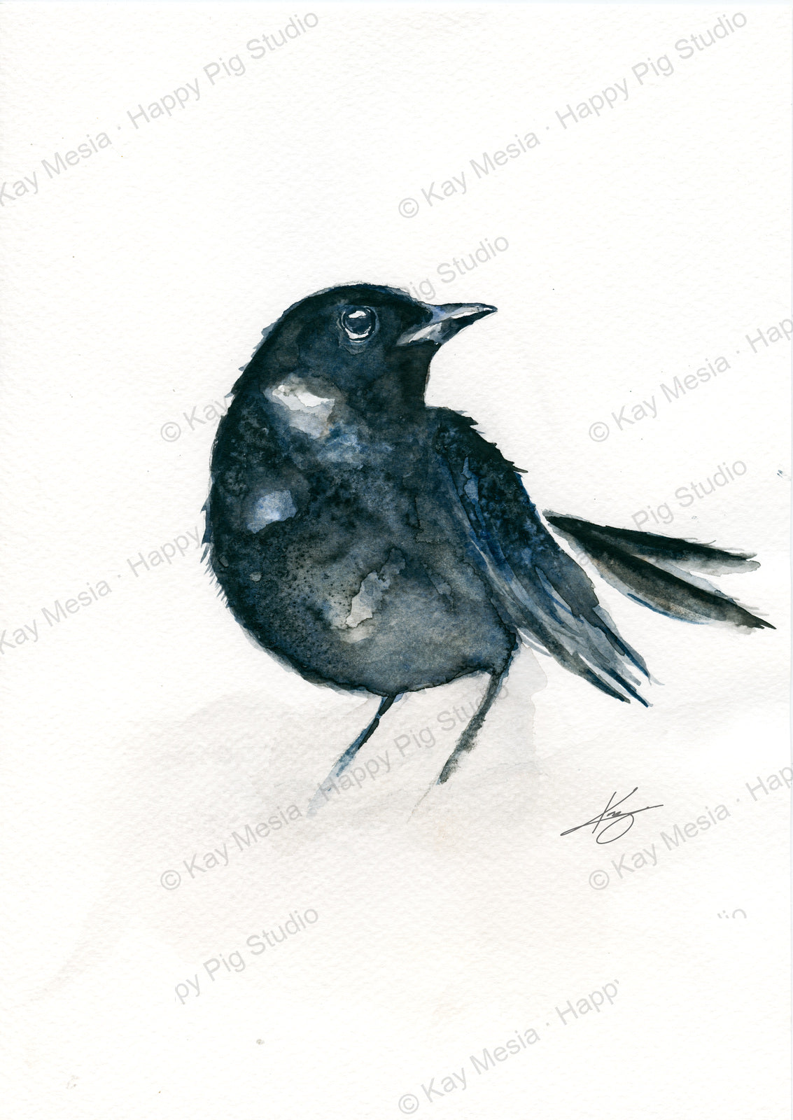 Blackbird fine-art print by Kay Mesia - artwork view