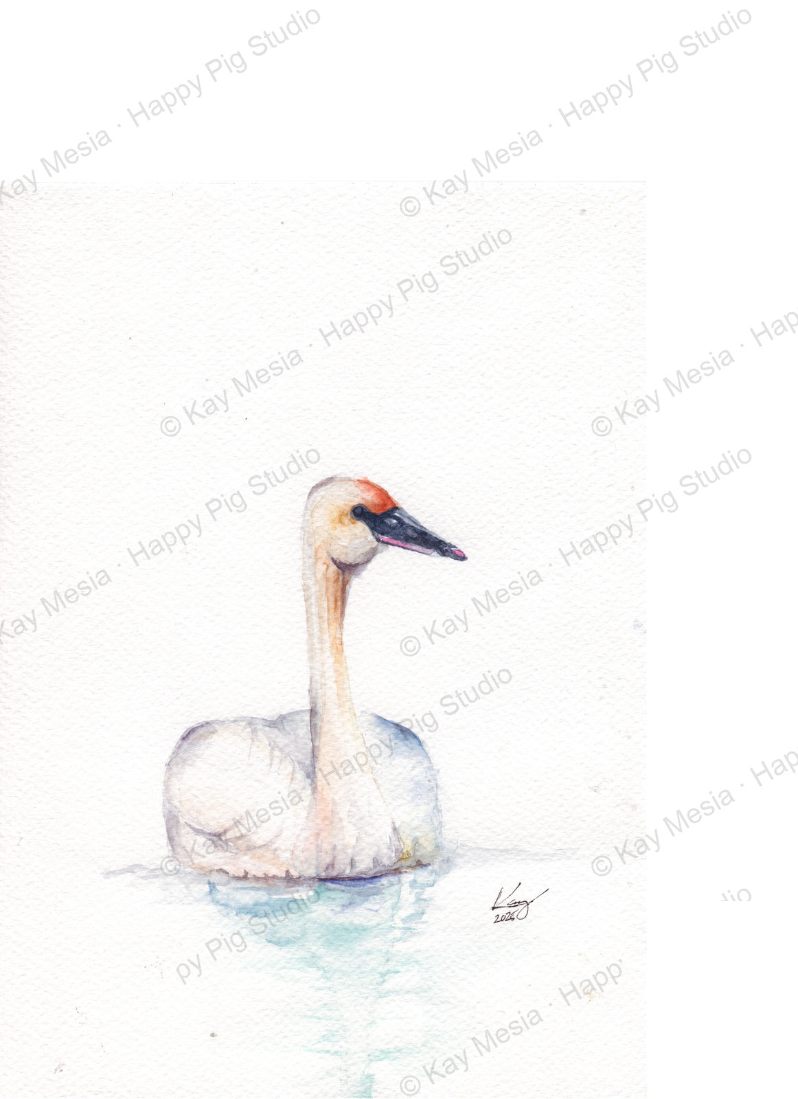 Sending Peace & Love, Swan fine-art print by Kay Mesia - artwork view