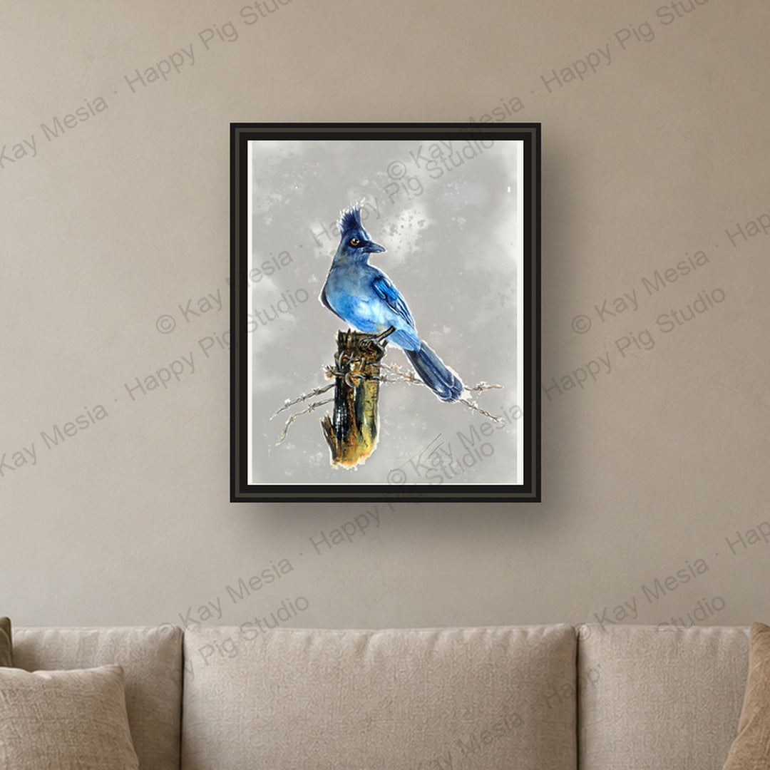 Stellar Jay fine-art print by Kay Mesia - framed room preview; print sold unframed