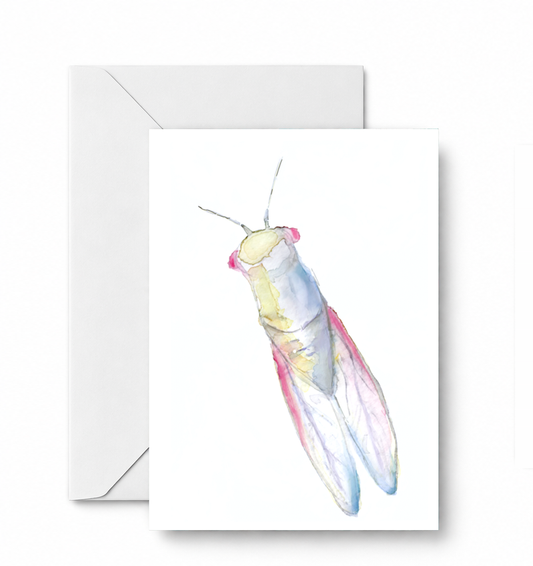 Cicada - CD-050-01-A2 approved card and envelope mockup