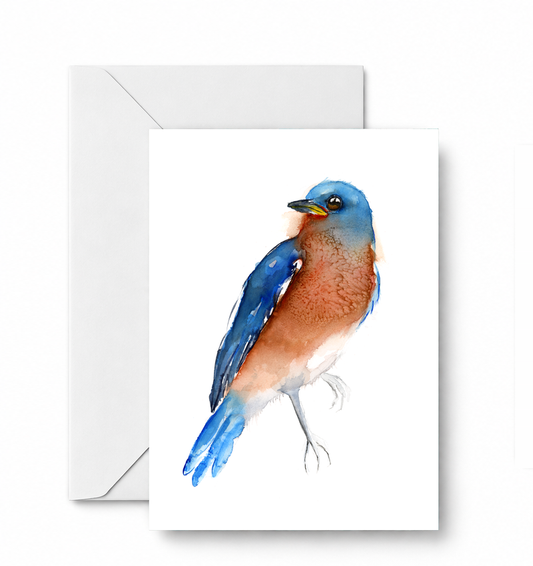 BlueBird - CD-056-01-A2 approved card and envelope mockup