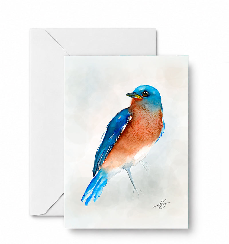 BlueBird — included in the Backyard Birdwatch curated 4-card set