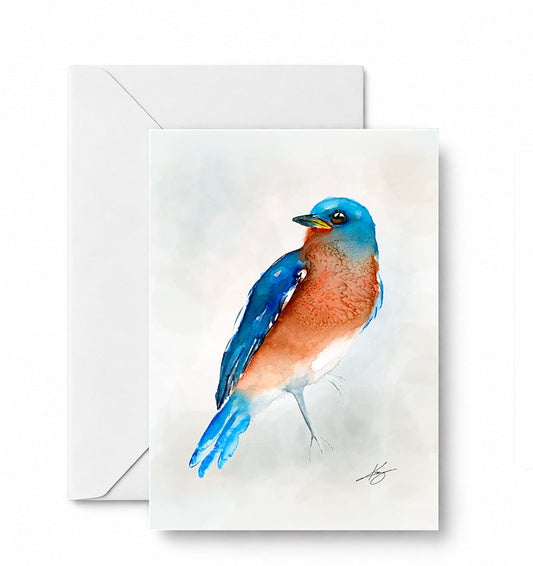 BlueBird - CD-056-01-A2 approved card and envelope mockup