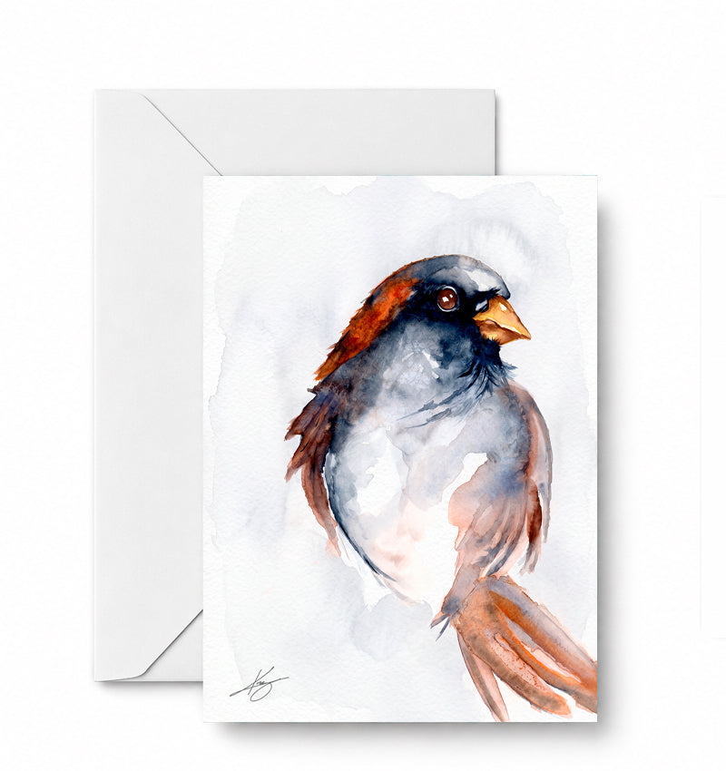 House sparrow — included in the Autumn Visitors curated 4-card set