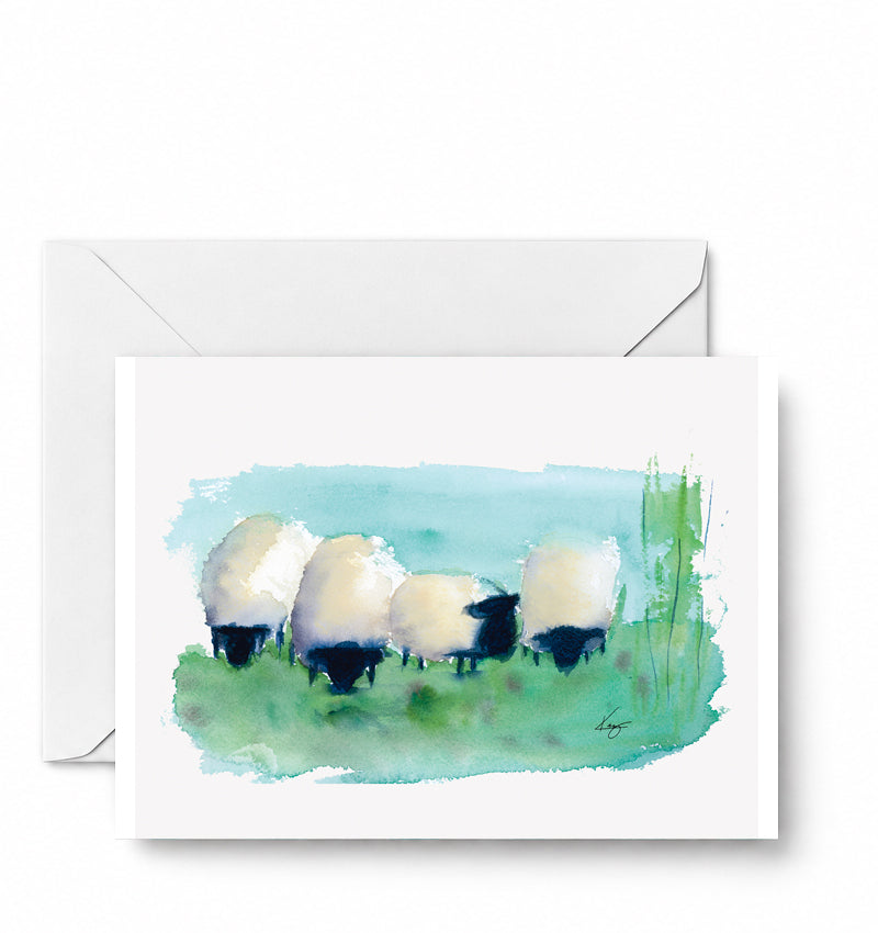 Sheep — CD-077-01-A2 approved greeting card image