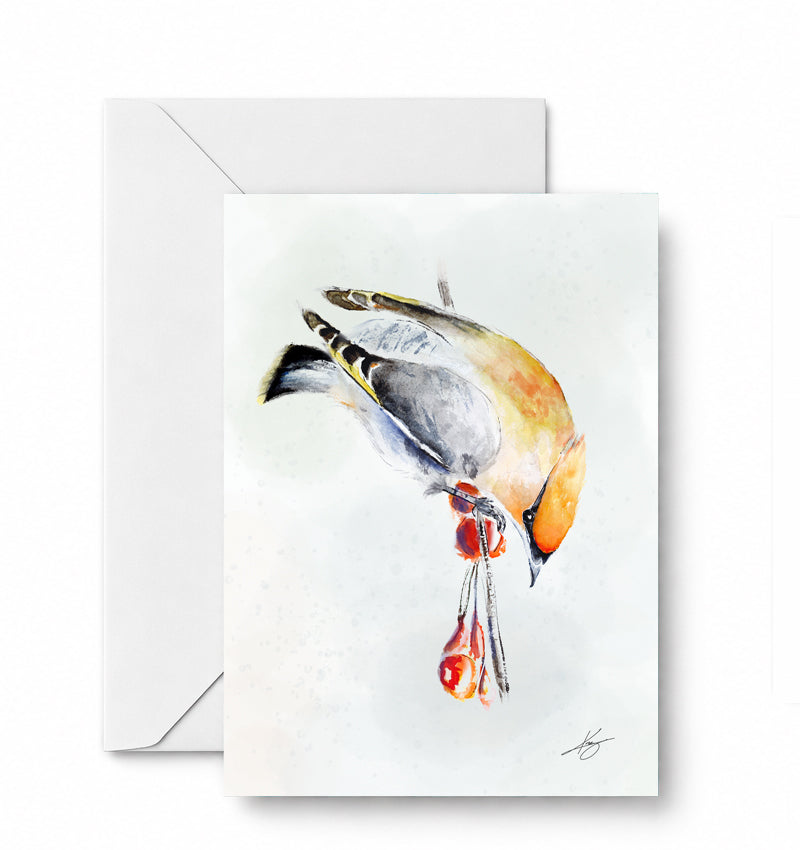 Waxwing — included in the Backyard Birdwatch curated 4-card set