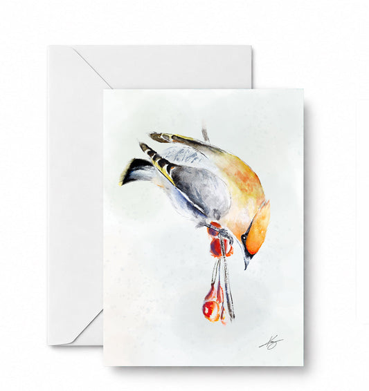 Waxwing - CD-083-01-A2 approved card and envelope mockup