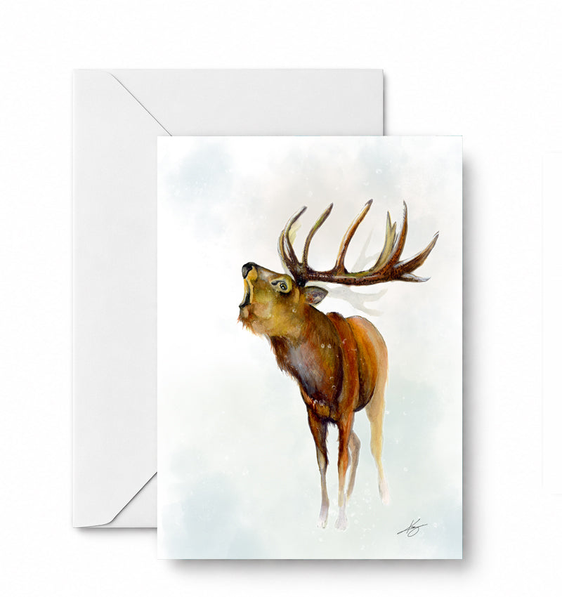 Elk in the Morning — included in the Northwoods Wild curated 4-card set