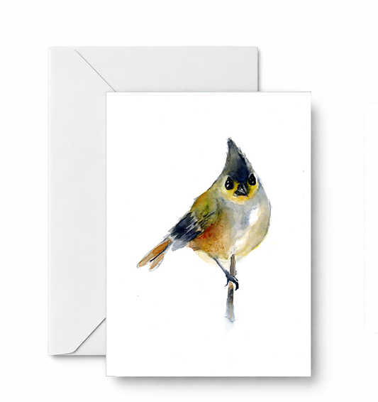 Little Bird - CD-100-01-A2 approved card and envelope mockup