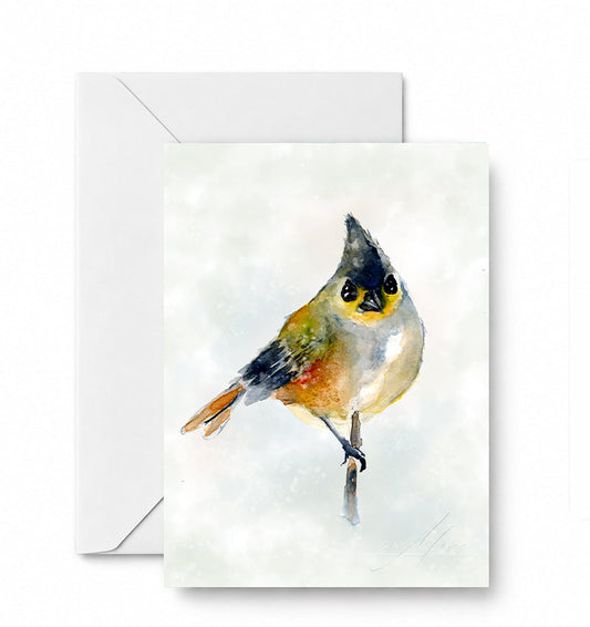 Little Bird - CD-100-01-A2 approved card and envelope mockup