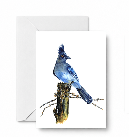 Stellar Jay - CD-110-01-A2 approved card and envelope mockup