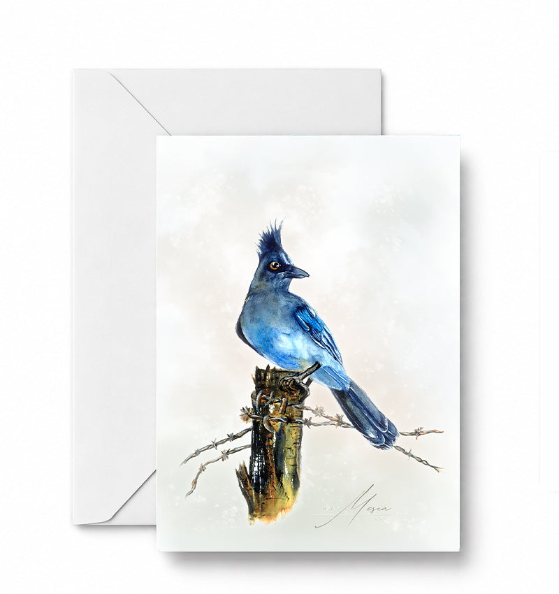 Stellar Jay - CD-110-01-A2 approved card and envelope mockup