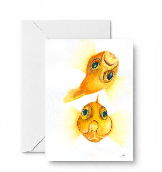 Bubbles - CD-143-01-A2 approved card and envelope mockup
