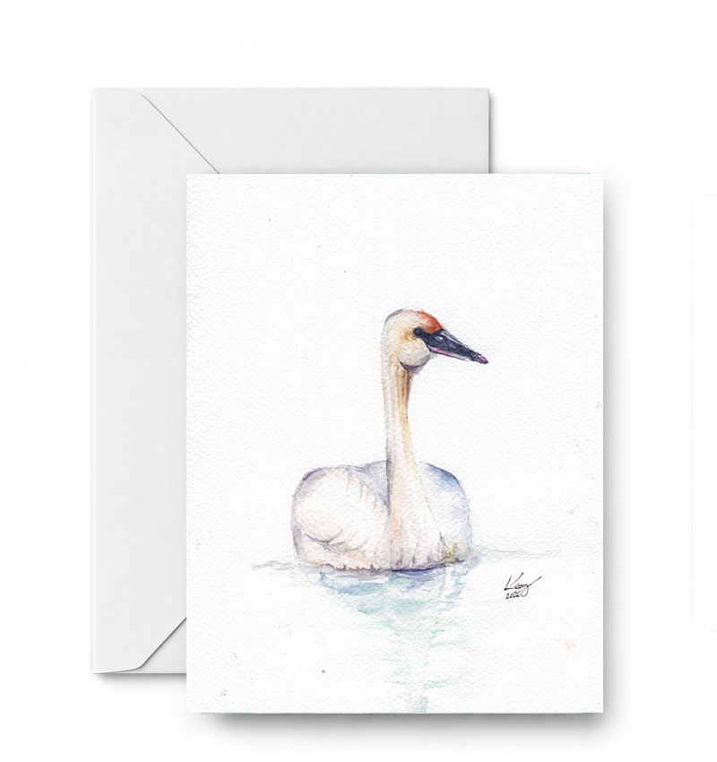 Swan - CD-174-01-A2 approved blank card and envelope mockup