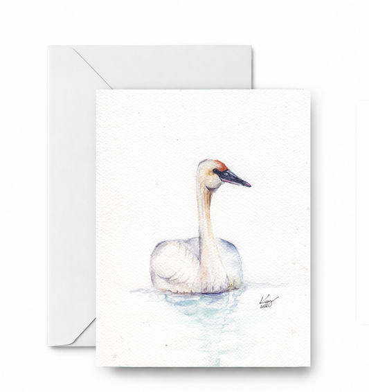 Swan - CD-174-01-A2 approved blank card and envelope mockup