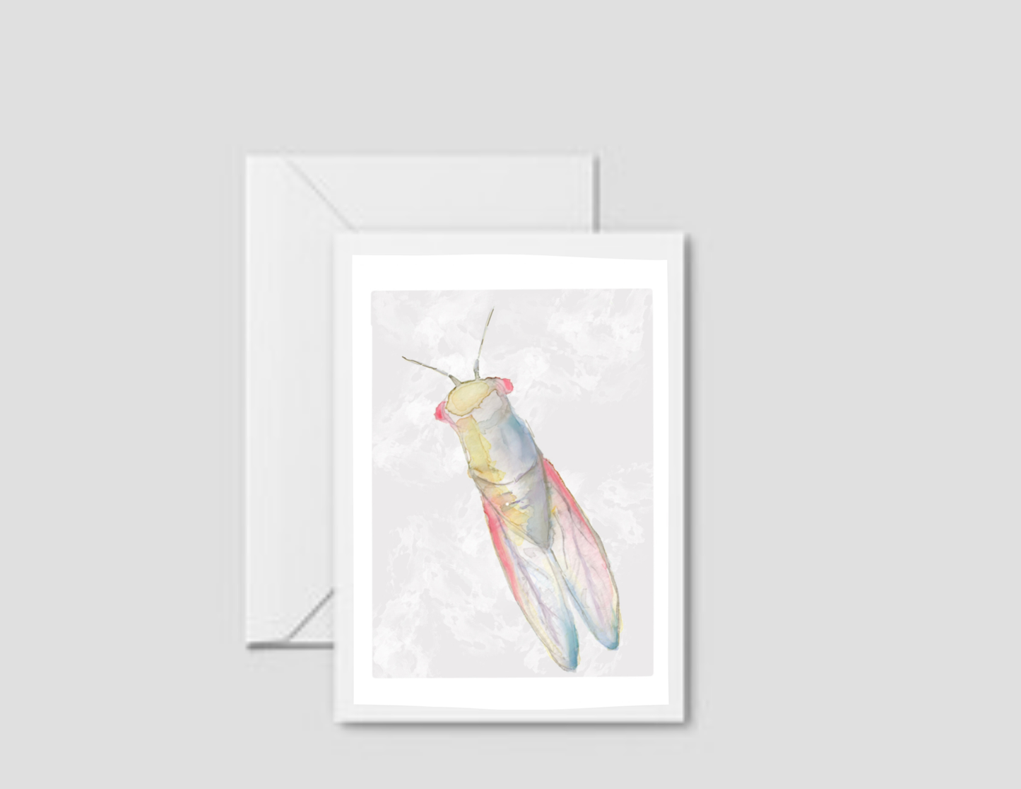 Cicada