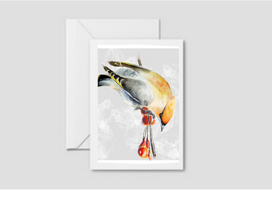 Waxwing