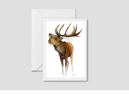 Elk in the Morning