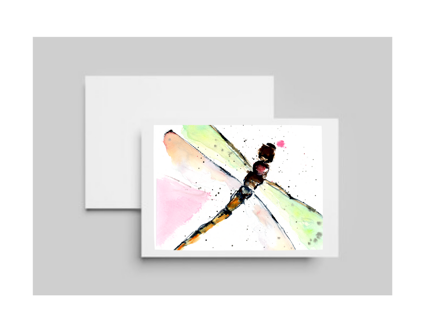 Little Dragonfly