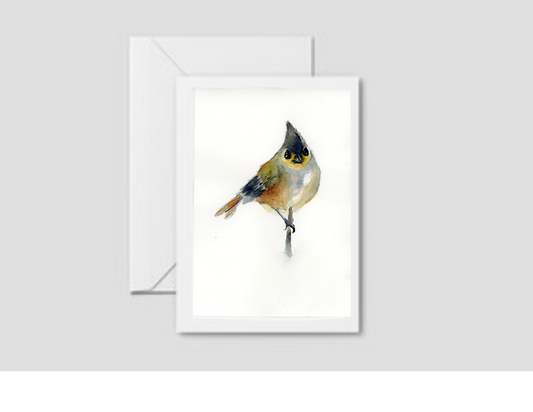Little Bird