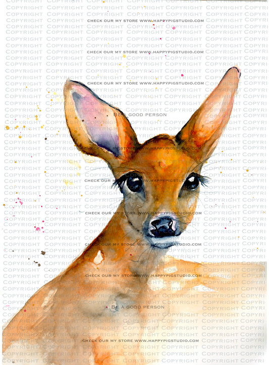 Spring Fawn - Greeting Card