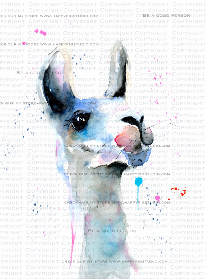 Spitting Llama watercolor artwork by Kay Mesia, with a copyright overlay on the online preview.