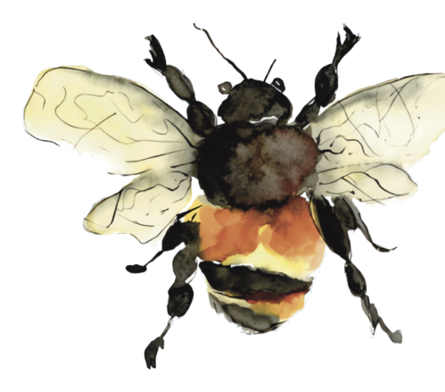 Bee Acrylic Magnet featuring original watercolor artwork by Kay Mesia.